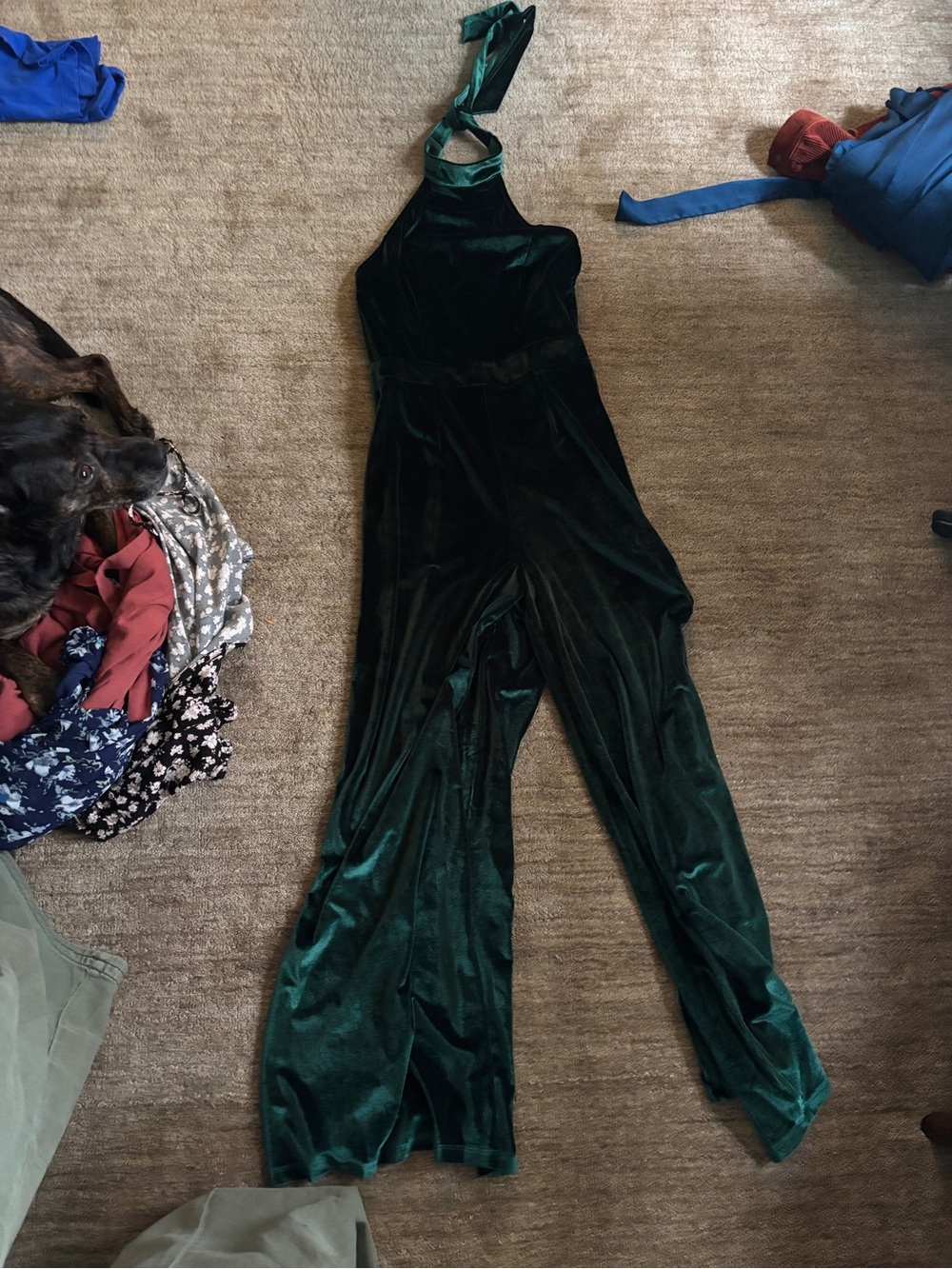 Petal & Pup Dark Green Velvet Halter Jumpsuit